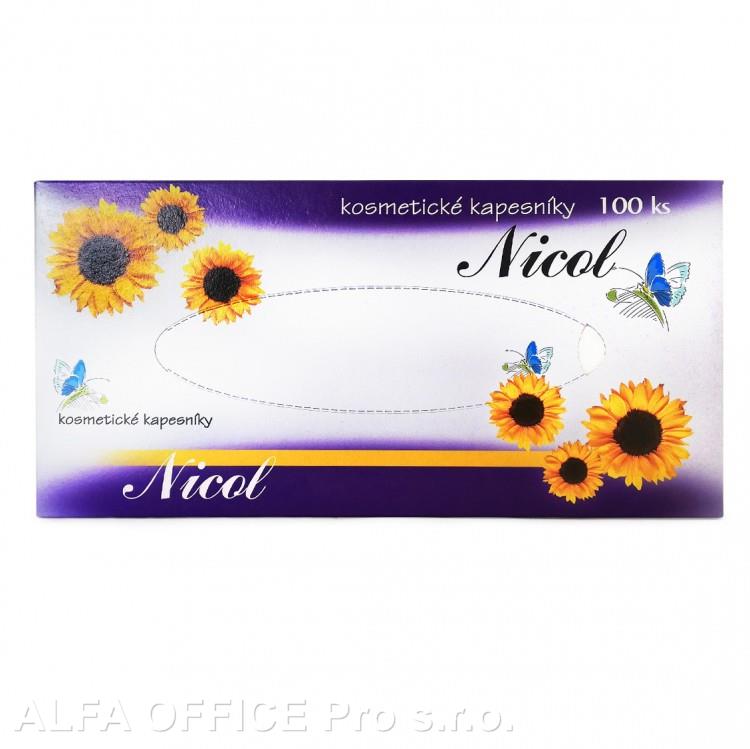 Kapesníčky papírové kosmetické - dvouvrstvé  100 ks