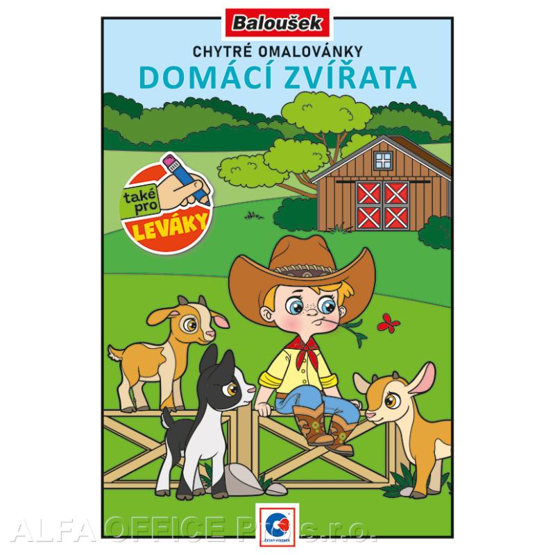 Chytré omalovánky A5 - Domácí zvířata