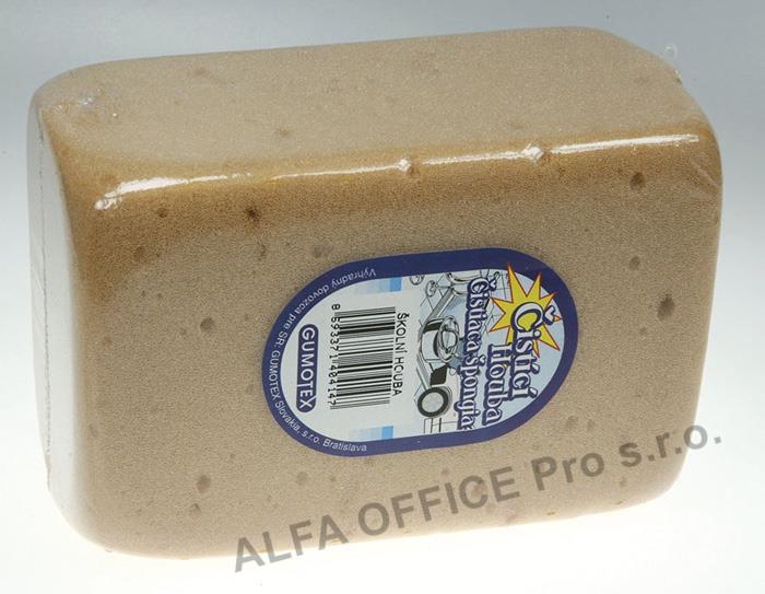 Školní houba - houba