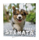 Kalendář nástěnný poznámkový - Štěňata / BNL2